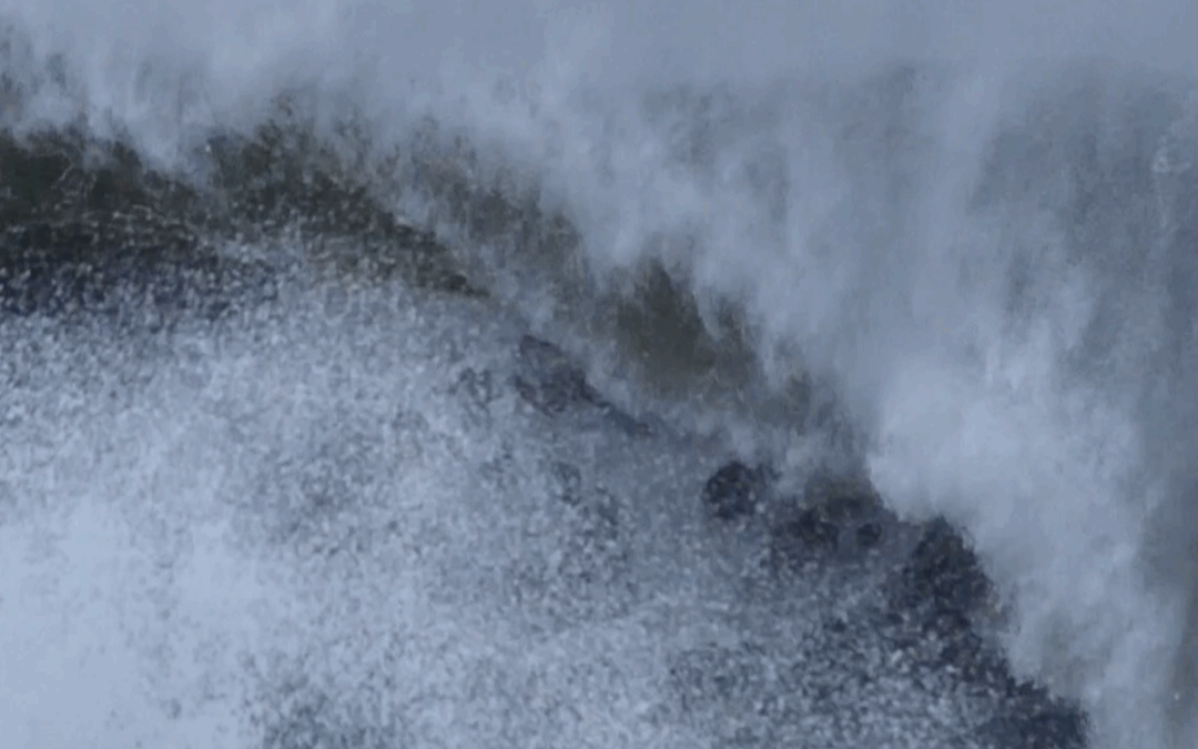 Sea Mist